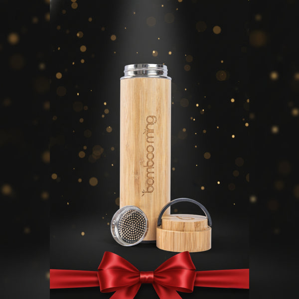 Water Bottle With Handle